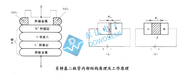 10A大電流肖特基二極管.jpg